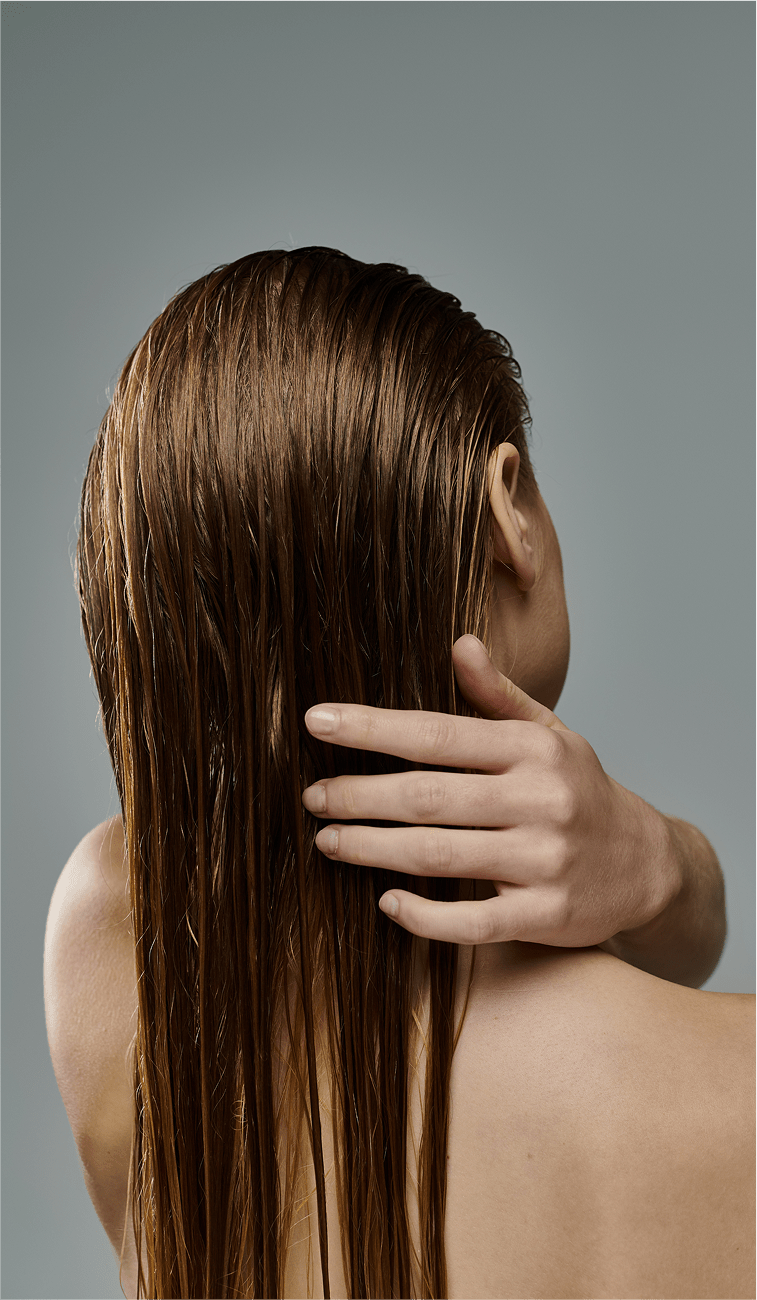 Soins cheveux - TAAJ PARIS