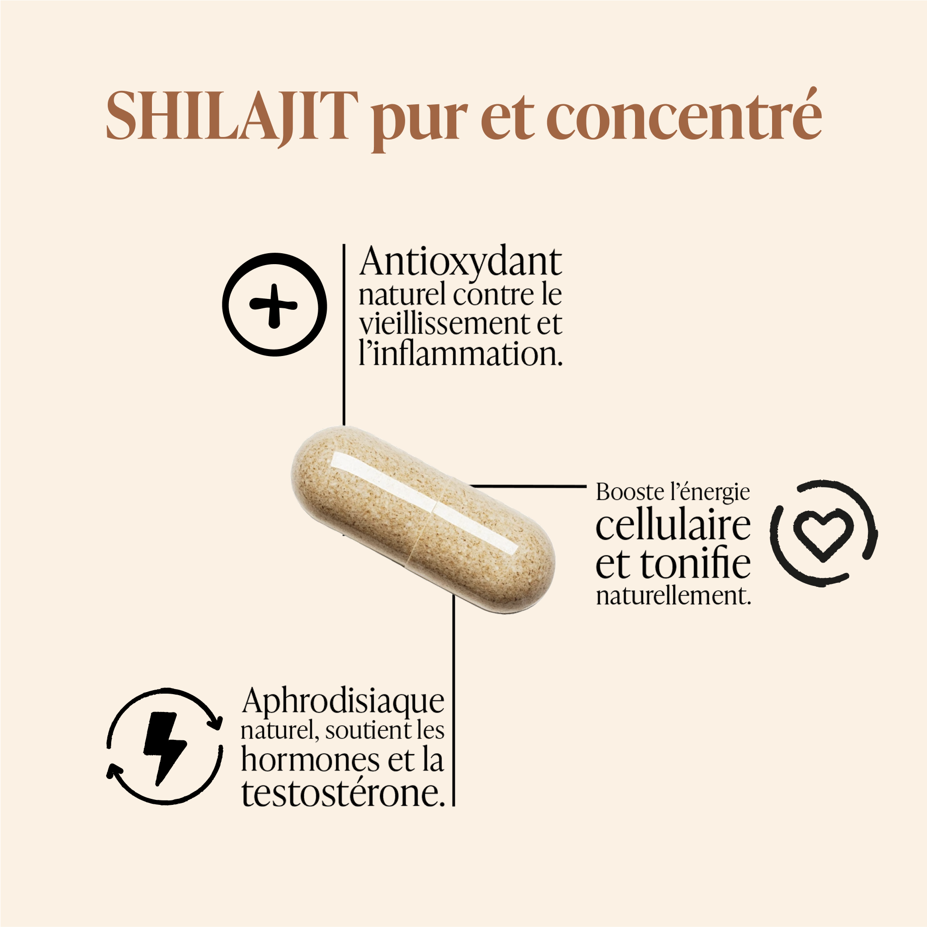 Shilajit – Gélules de résine minérale naturelle, source d’oligo-éléments et d’acides fulviques