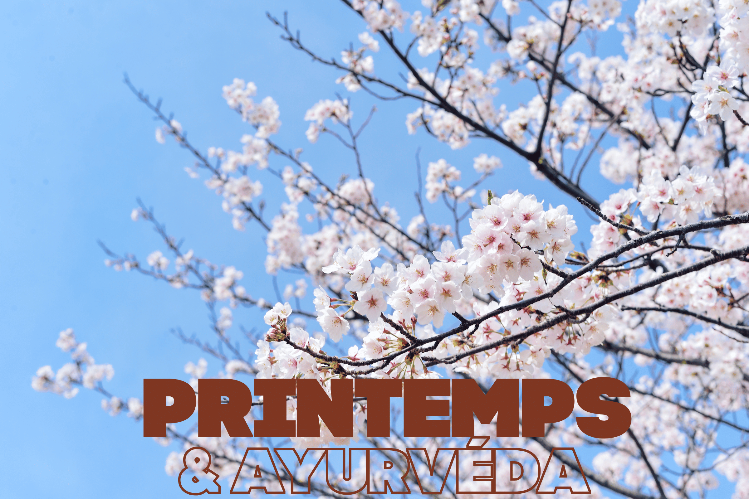 Printemps & Ayurveda Comment faire peau neuve ?