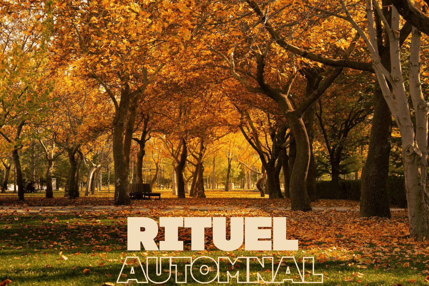Votre rituel automnal
